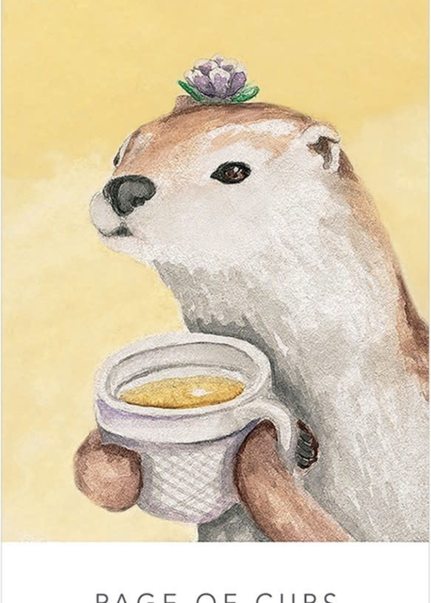 White Sage Tarot in a Tin