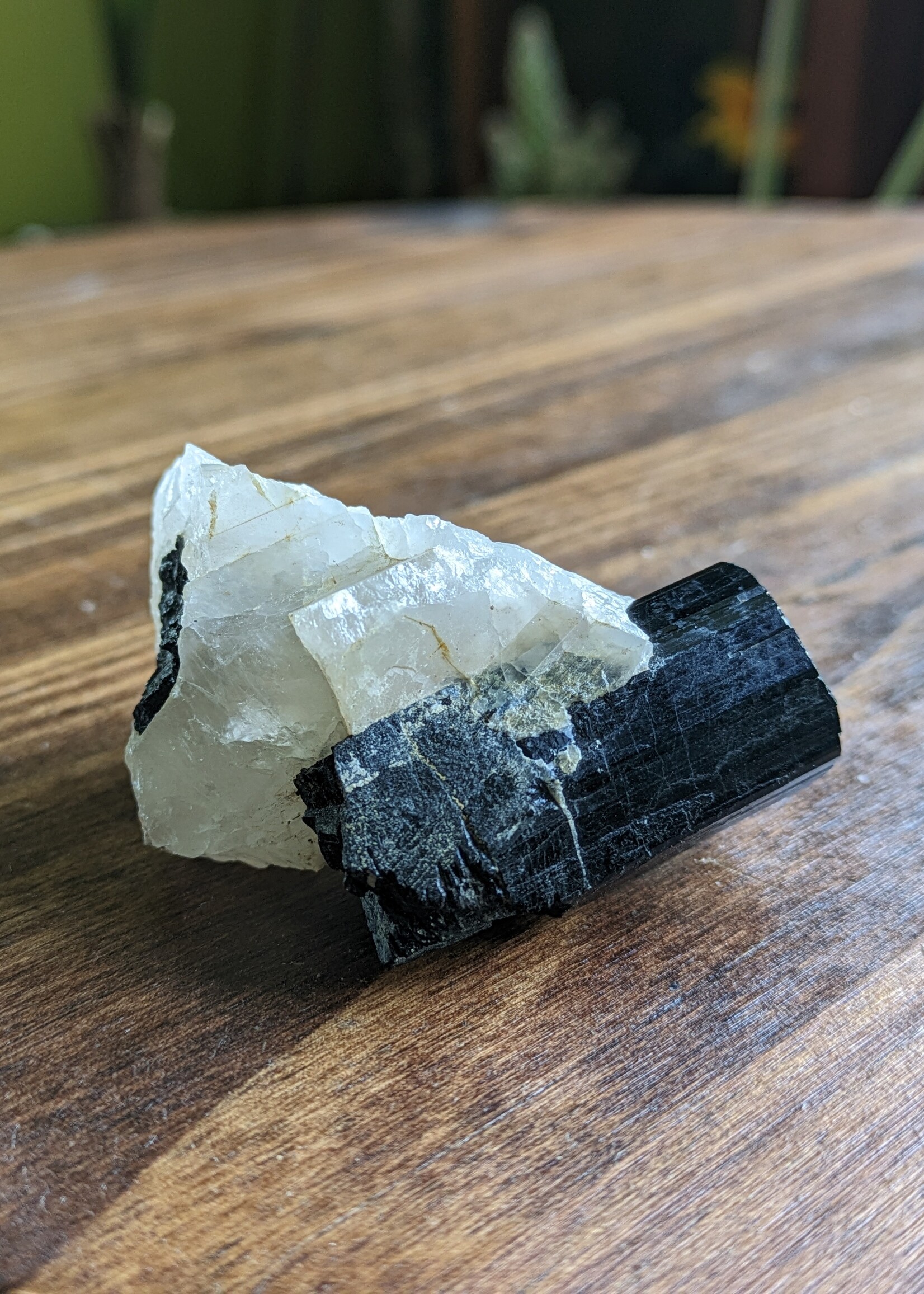 Black Tourmaline on Quartz