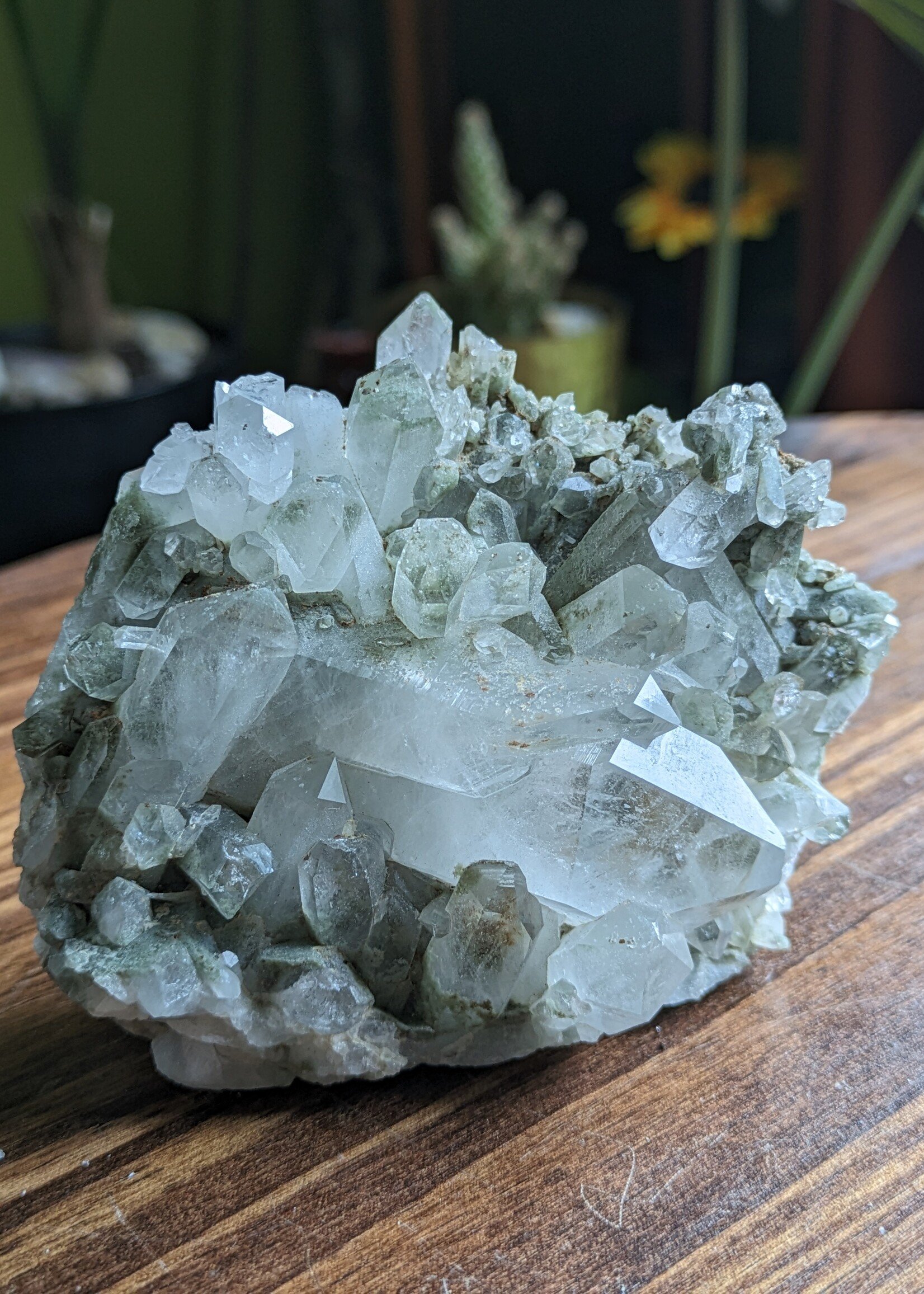 Chlorite Quartz Cluster