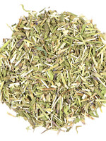 Hyssop
