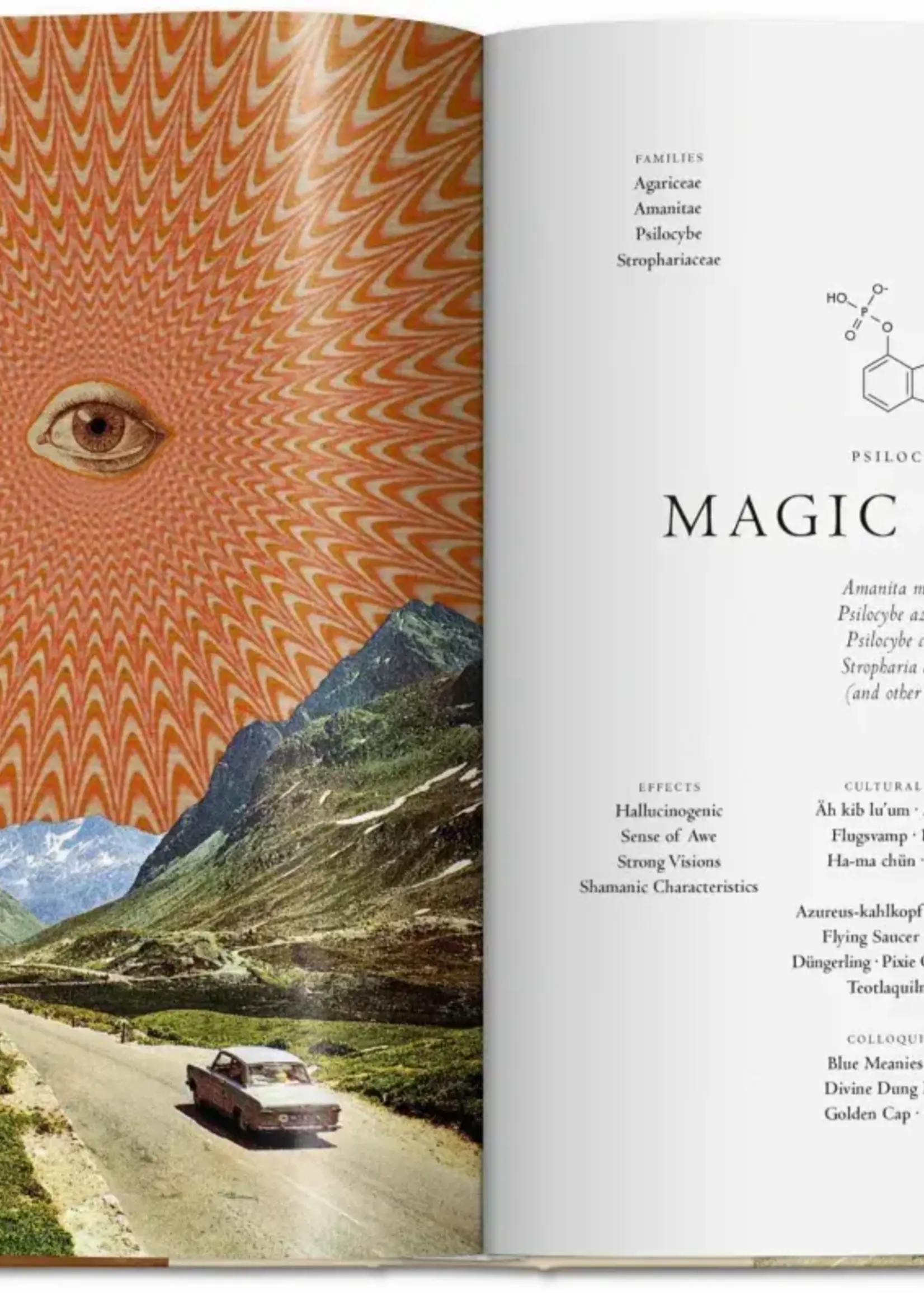 Taschen Library of Esoterica Plant Magick