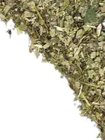 Elsewhere Yerba Mate