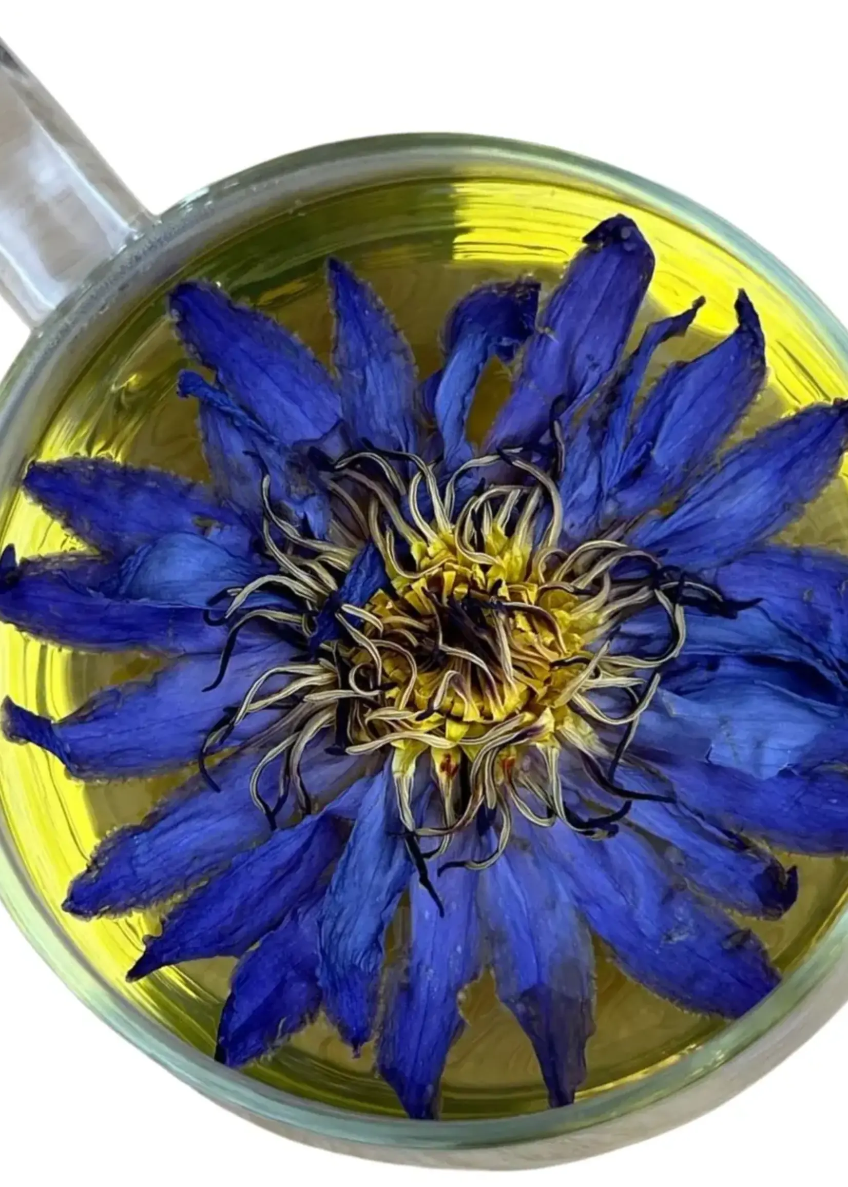 Elsewhere Whole Blue Lotus Flower 1.5oz
