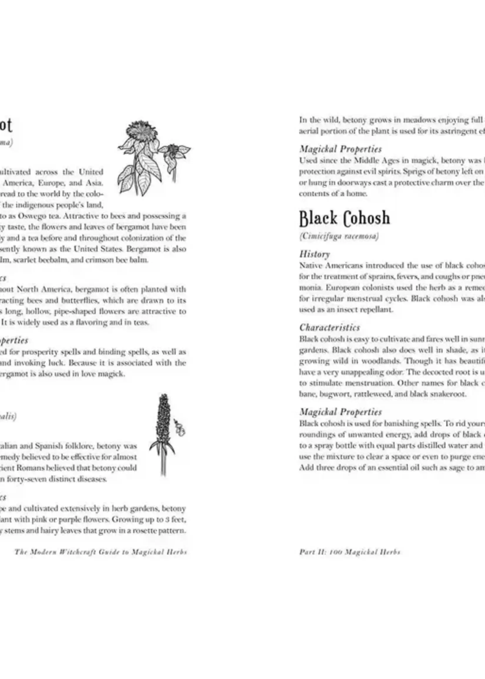 Simon & Schuster Modern Witchcraft Guide to Magickal Herbs