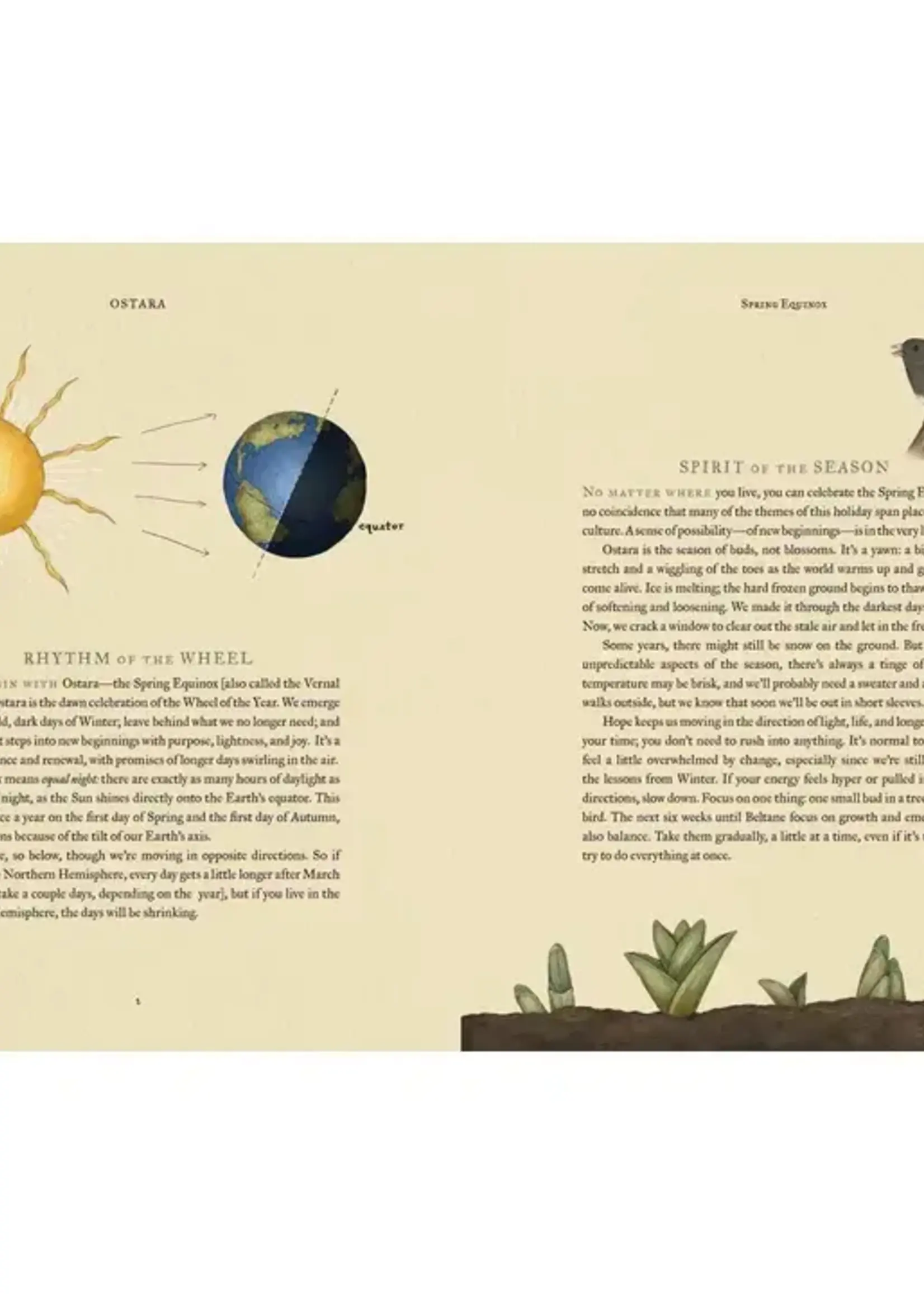 Simon & Schuster The Wheel of the Year