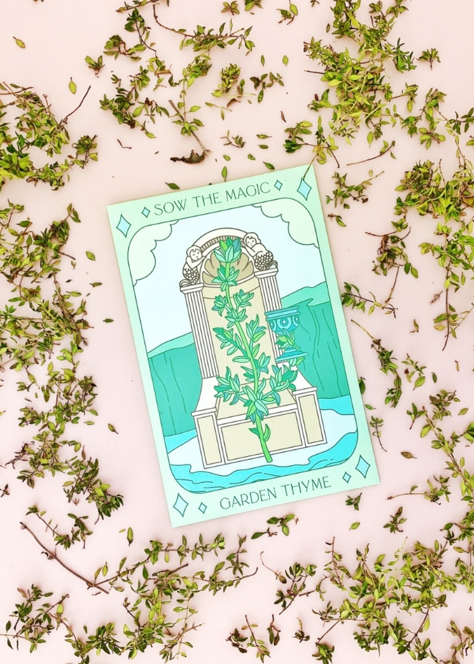 Garden Thyme Tarot Garden Seeds