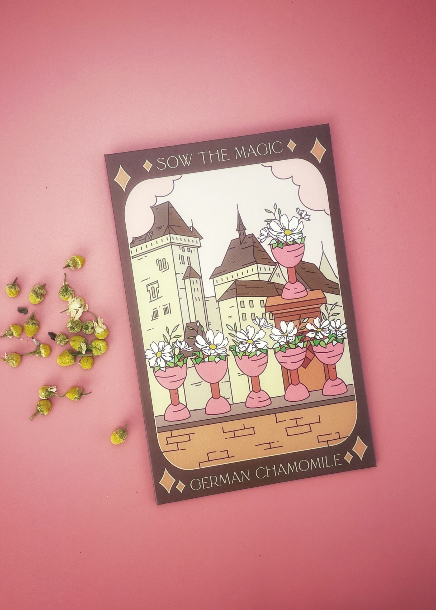 German  Chamomile Tarot Garden Seeds