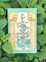 Lemon Balm Tarot Garden Seeds