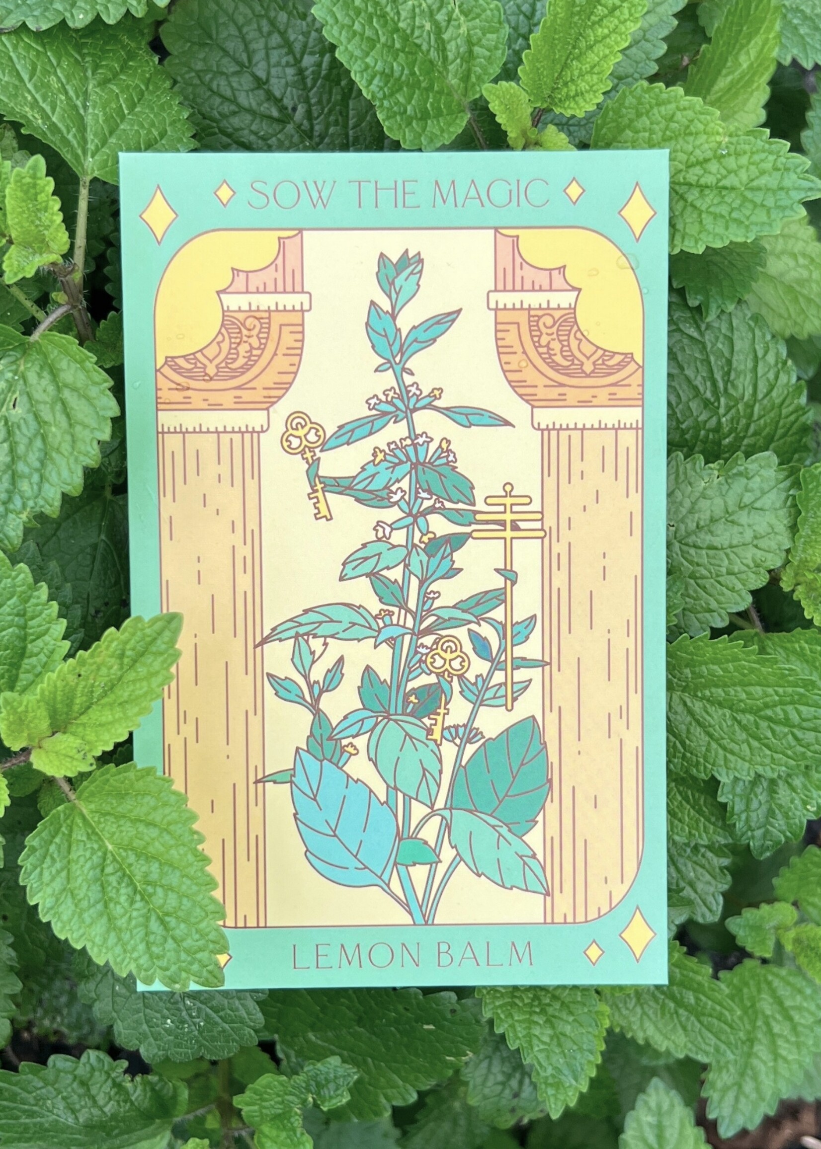Lemon Balm Tarot Garden Seeds