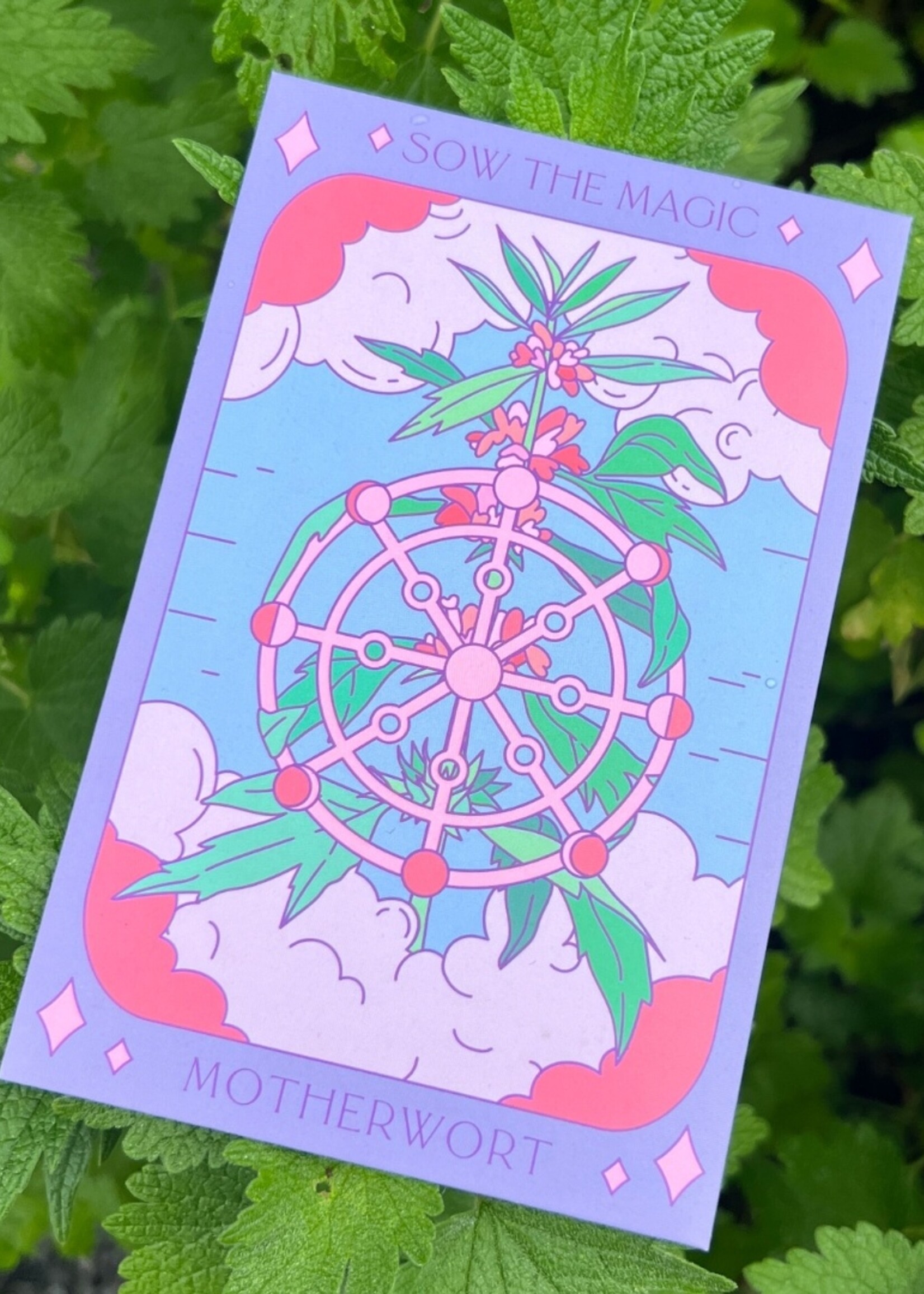 Motherwort Tarot Garden Seeds