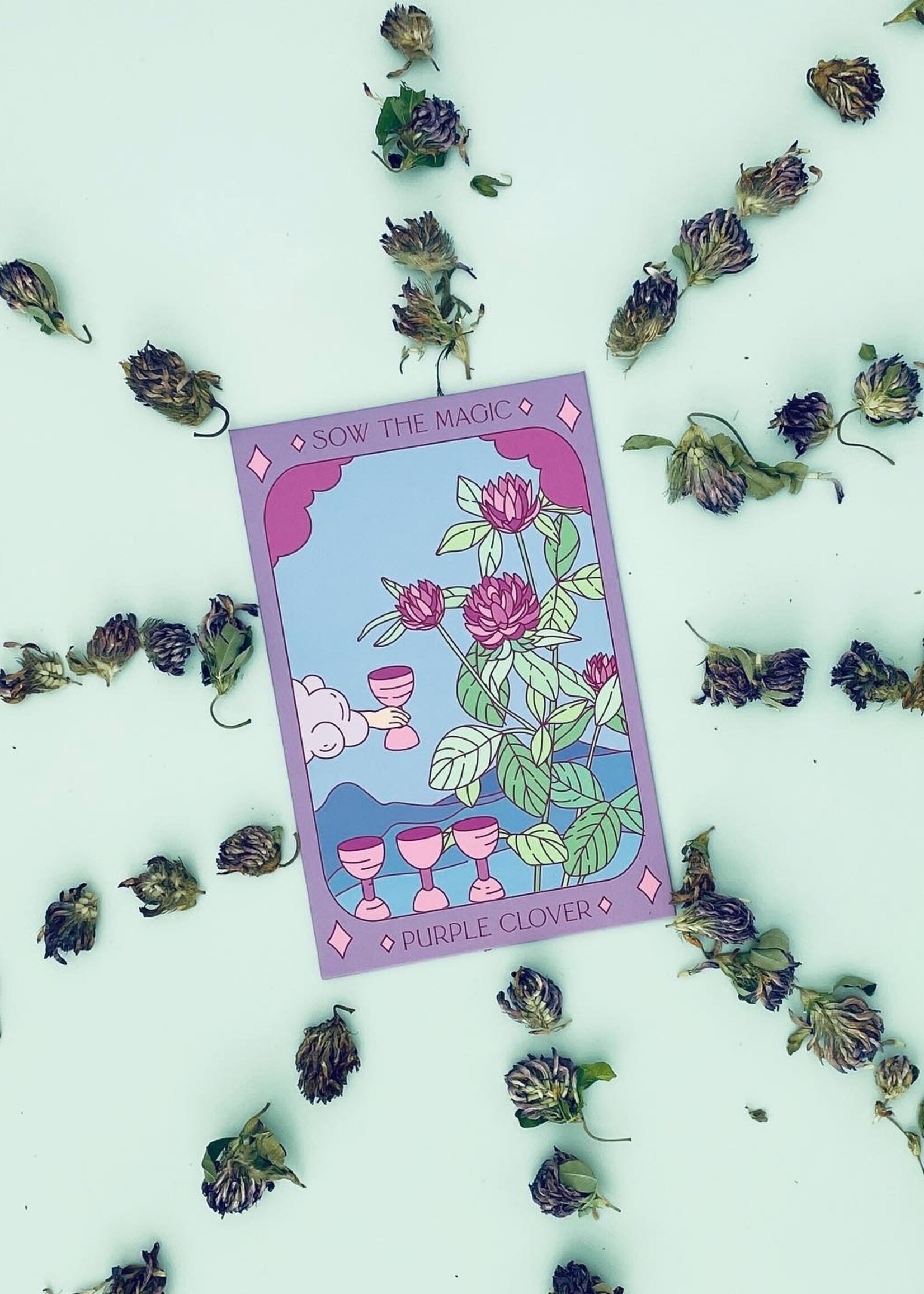 Purple Clover Tarot Garden Seeds