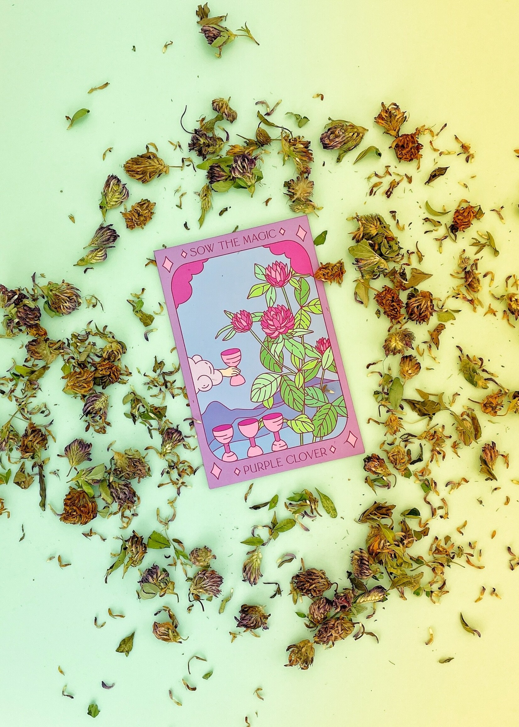 Purple Clover Tarot Garden Seeds