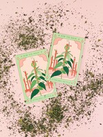 Stinging Nettle Tarot Garden Seeds