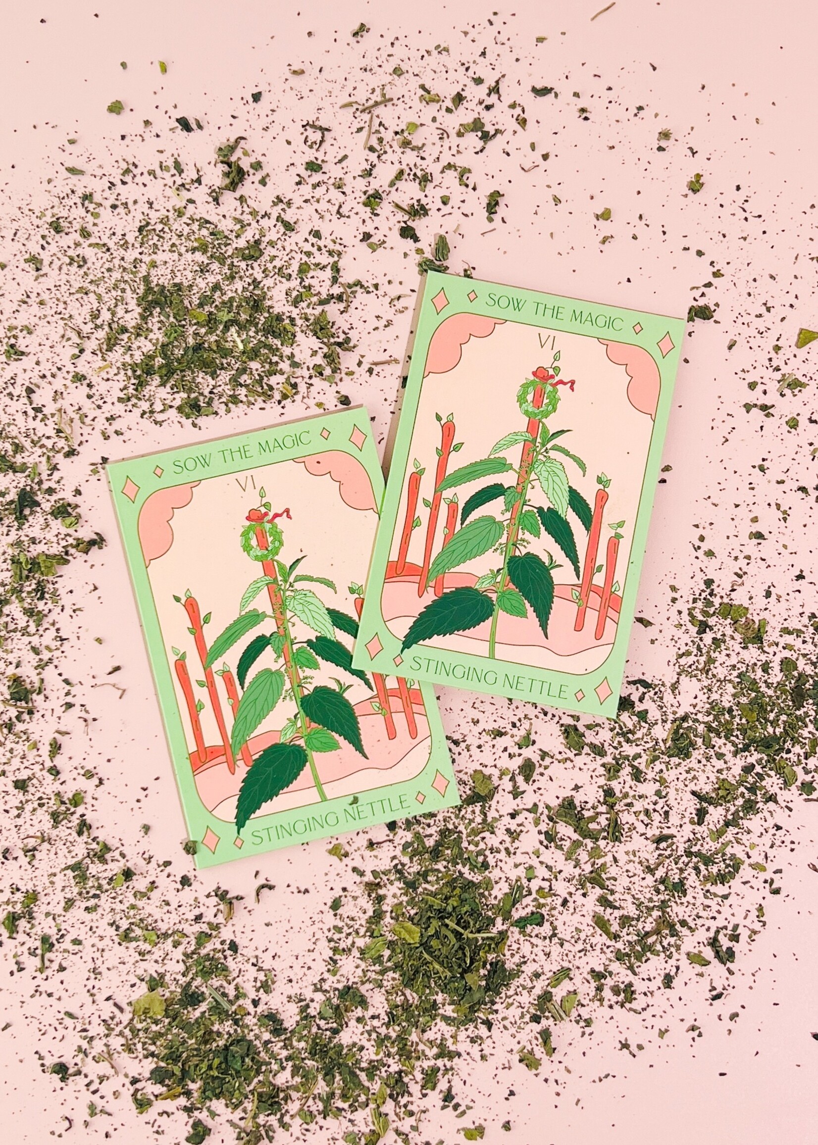 Stinging Nettle Tarot Garden Seeds