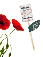 Poppy + Snapdragon Planting Pop