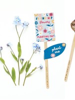 Daisy + Forget Me Nots Planting Pop