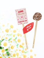 Chamomile + Basil Planting Pop