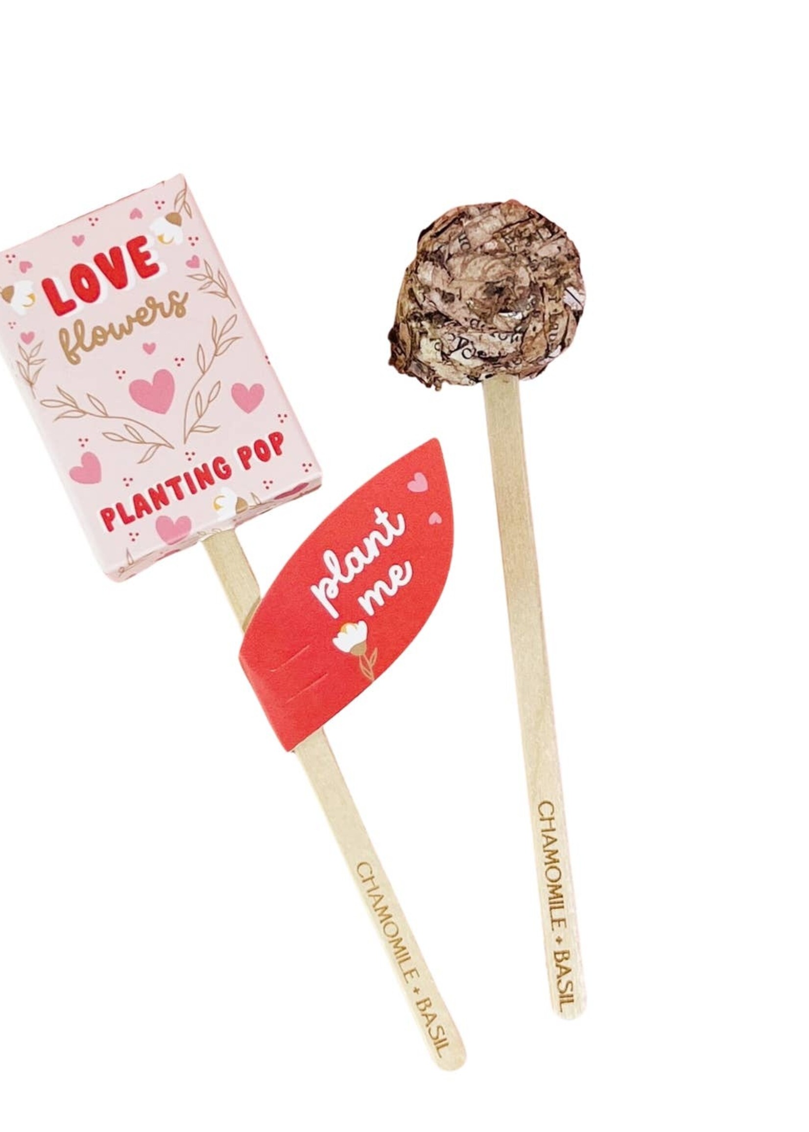 Chamomile + Basil Planting Pop