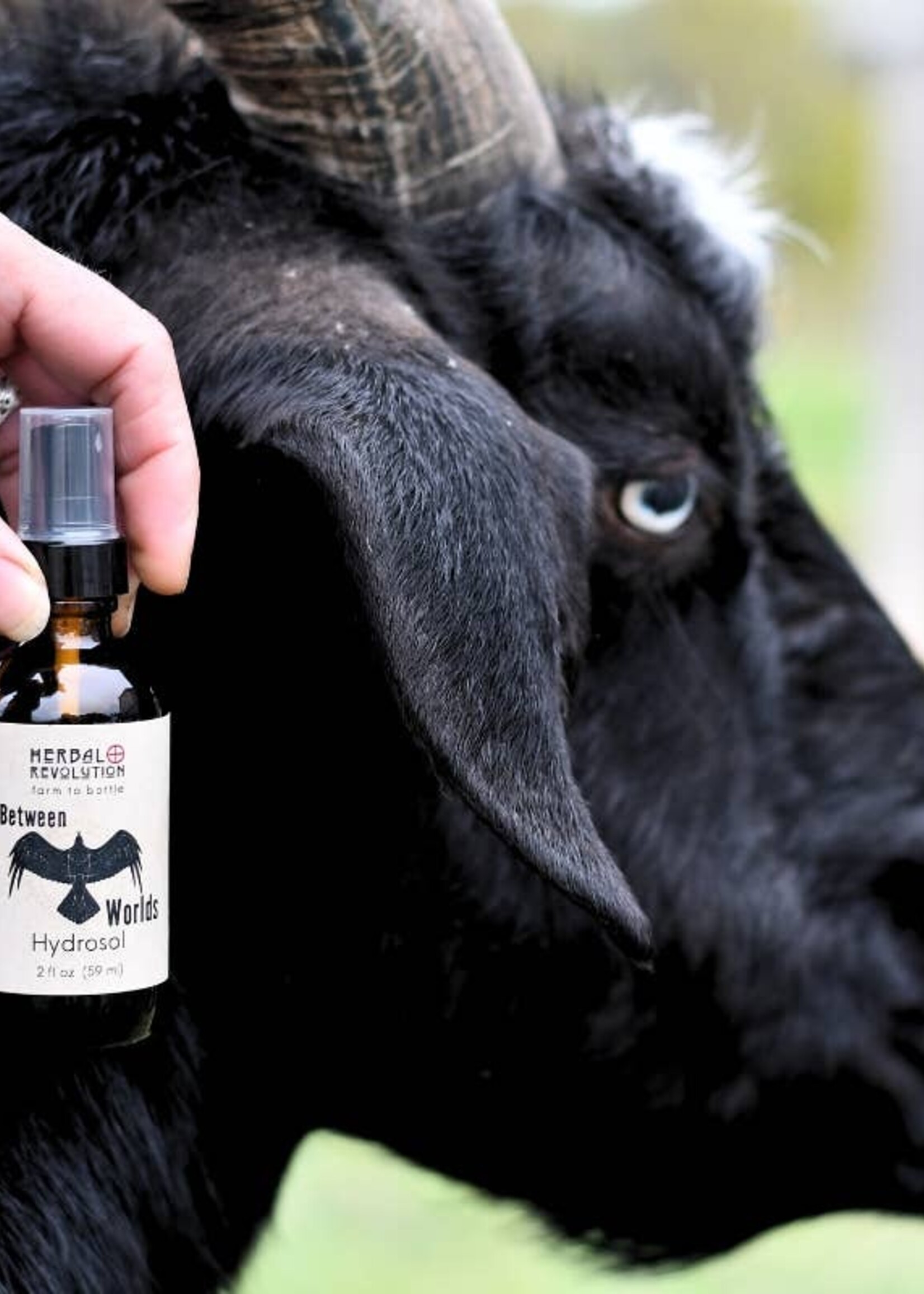 In-between Worlds Hydrosol Spray \| Protection+Grounding