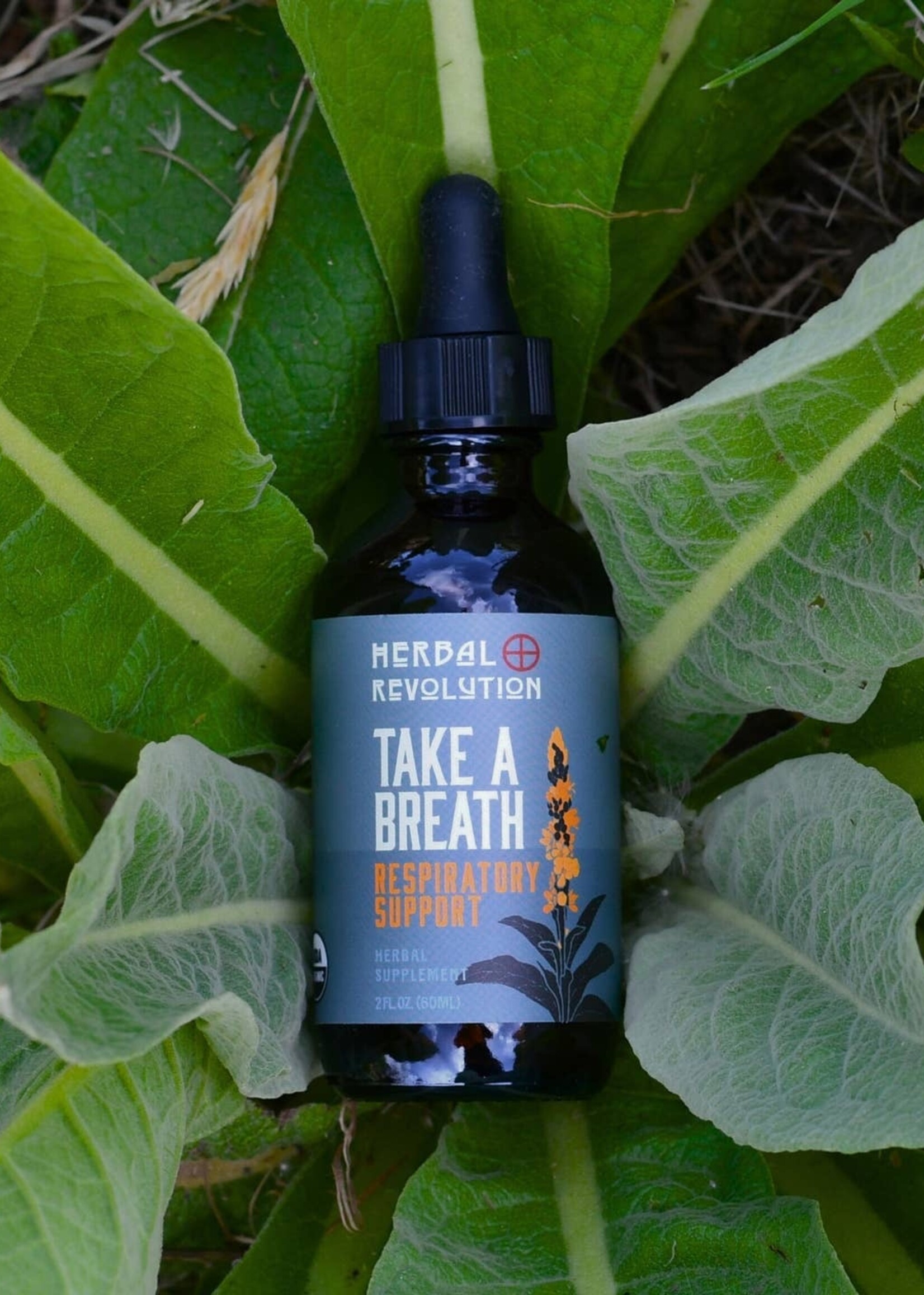 Take a Breath: Respiratory Support Elixir