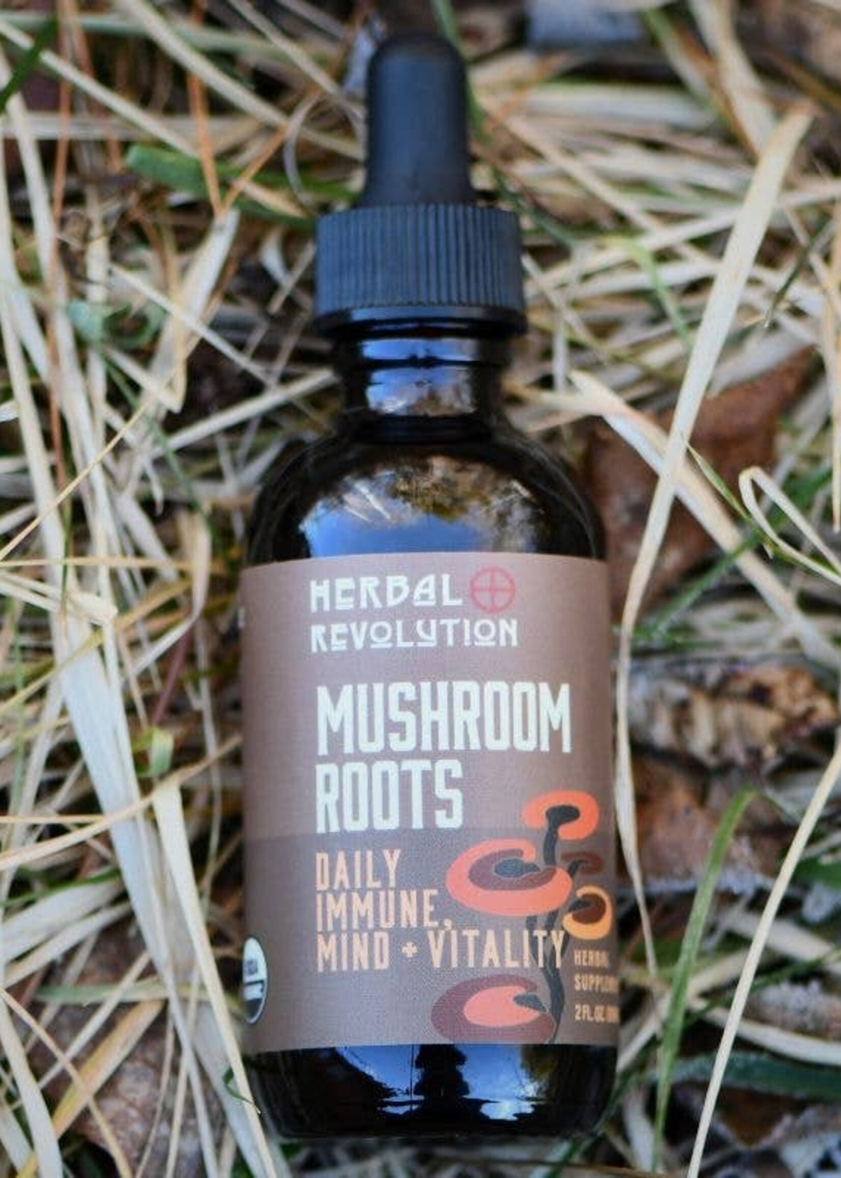 Mushroom & Roots: Daily Immune + Mind + Vitality Elixir