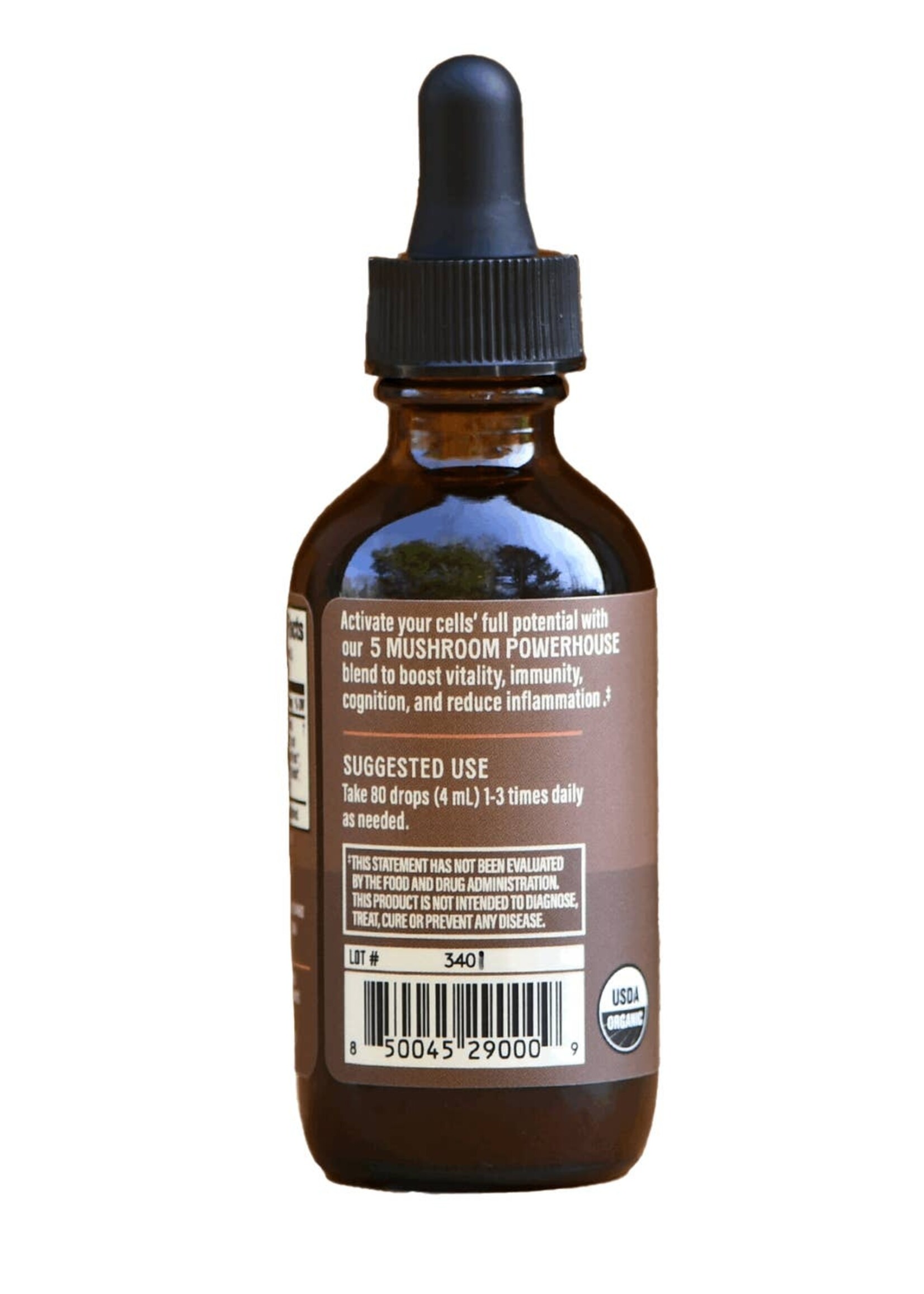 Mushroom & Roots: Daily Immune + Mind + Vitality Elixir