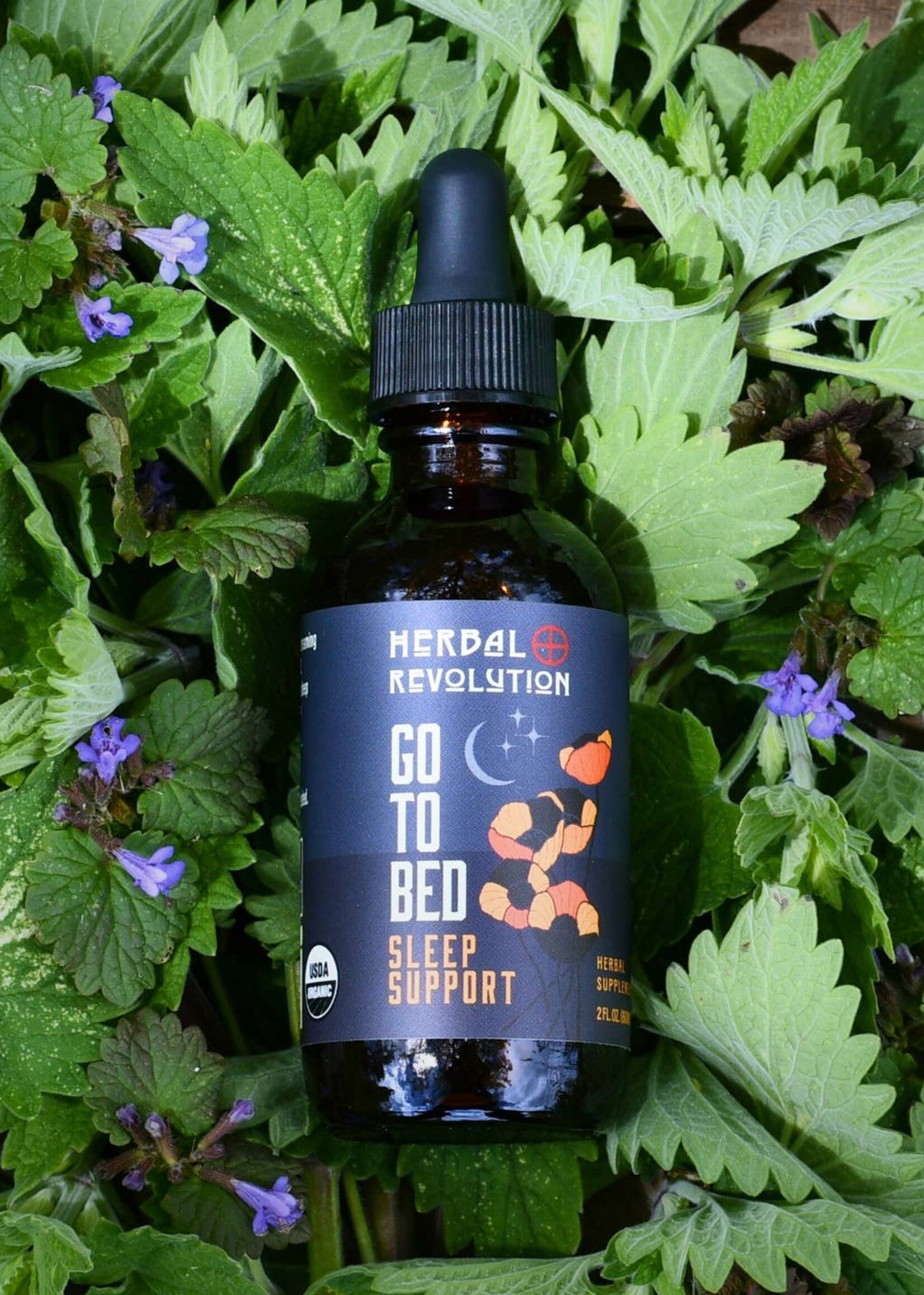 Go To Bed: Deep Sleep Elixir