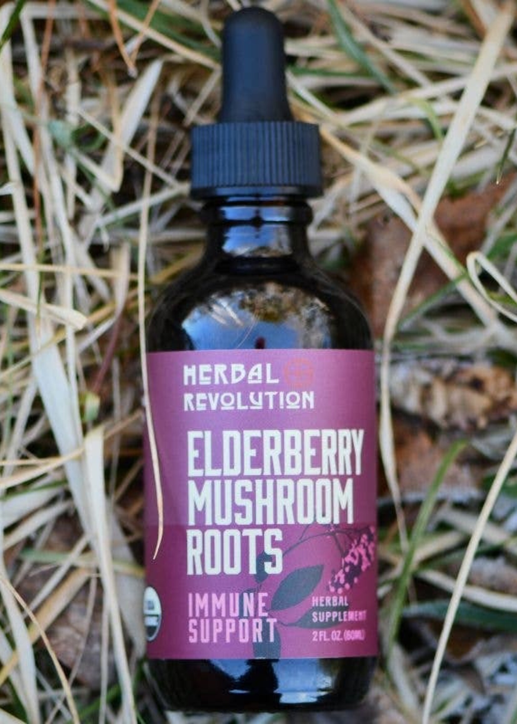 Elderberry + Mushroom: Daily Immune Support Elixir