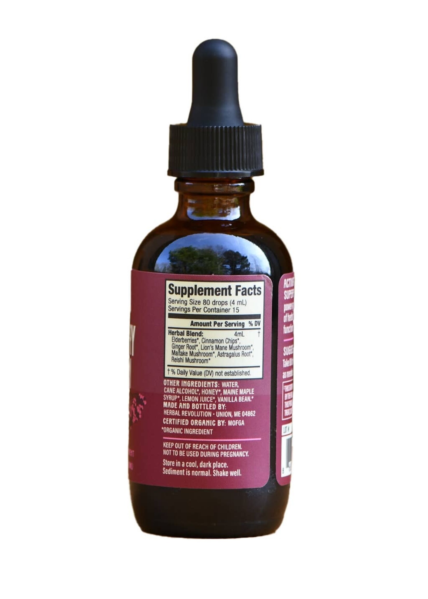 Elderberry + Mushroom: Daily Immune Support Elixir