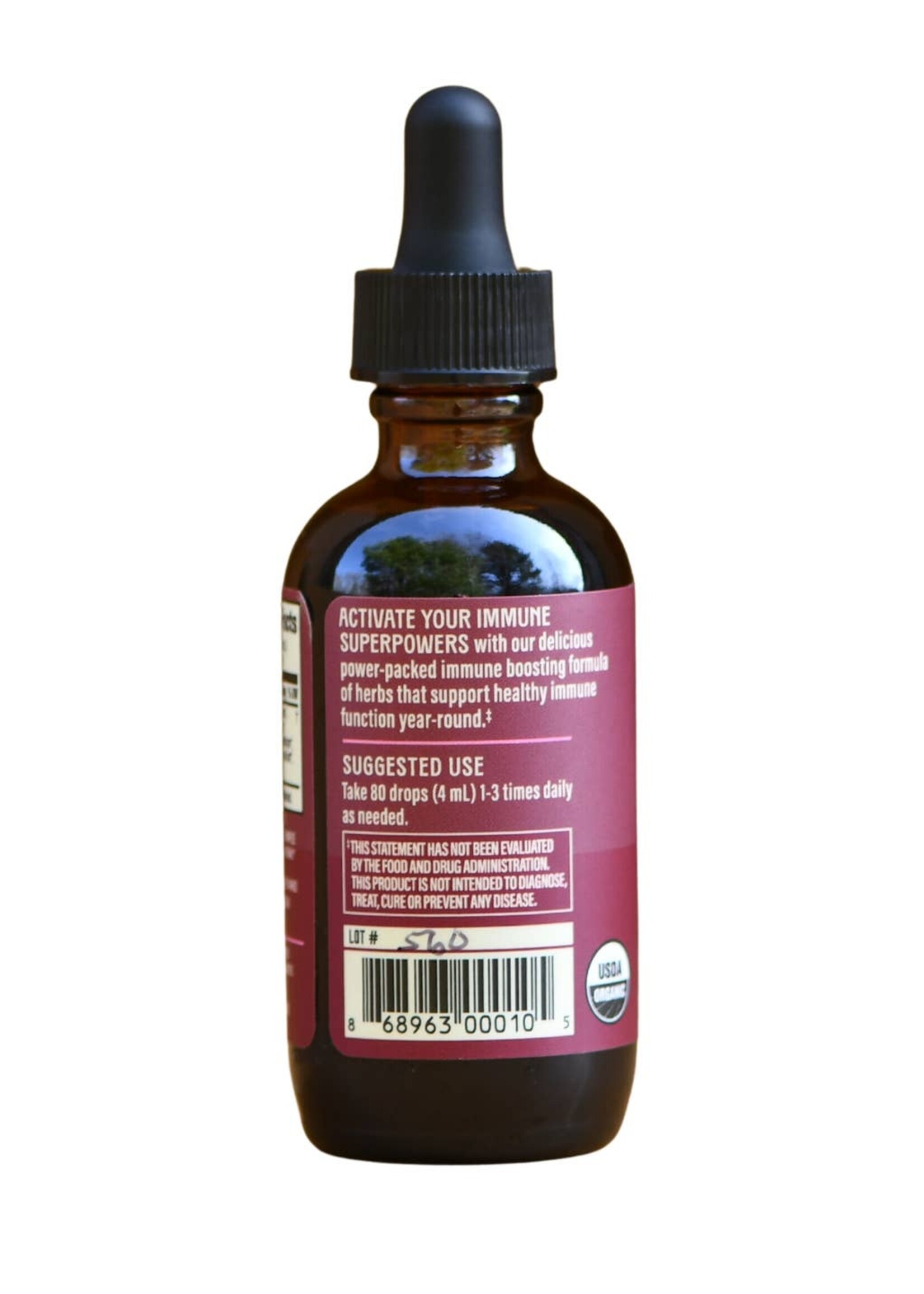 Elderberry + Mushroom: Daily Immune Support Elixir