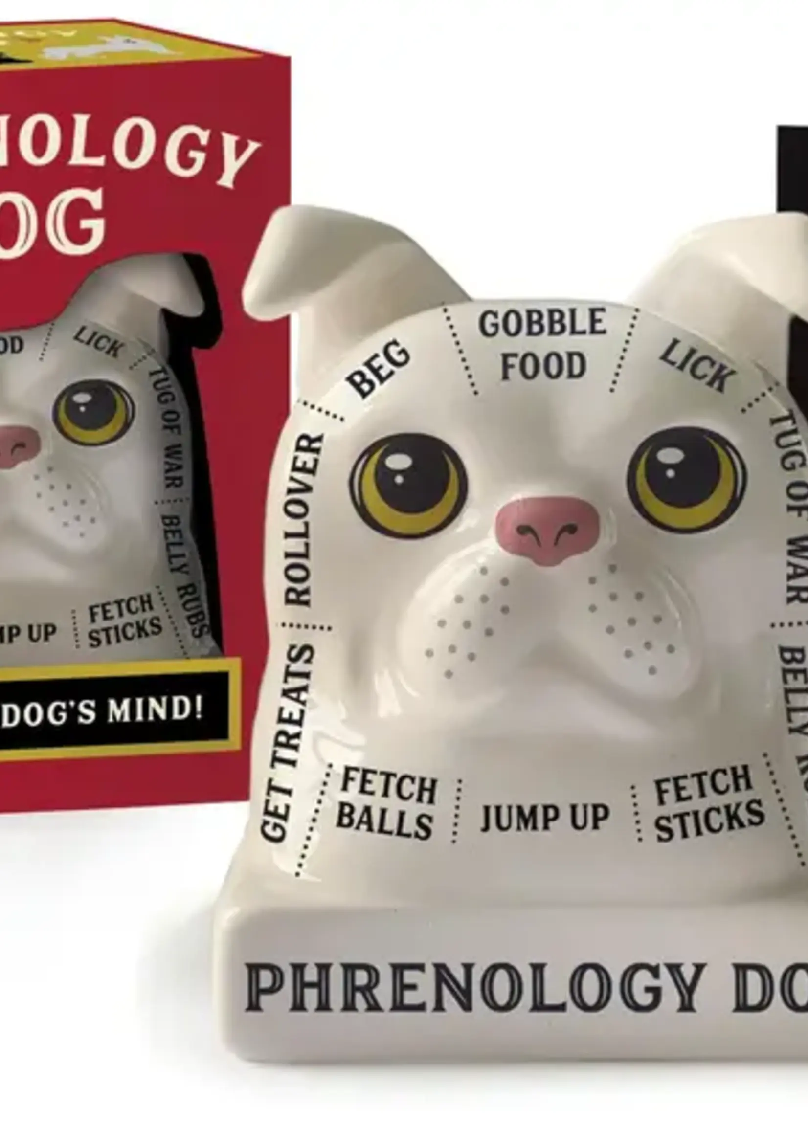 Phrenology Dog: Read Your Dog's Mind!
