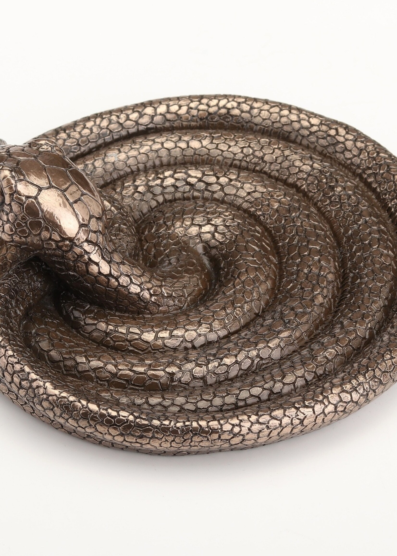 Coiling Snake Altar Plate