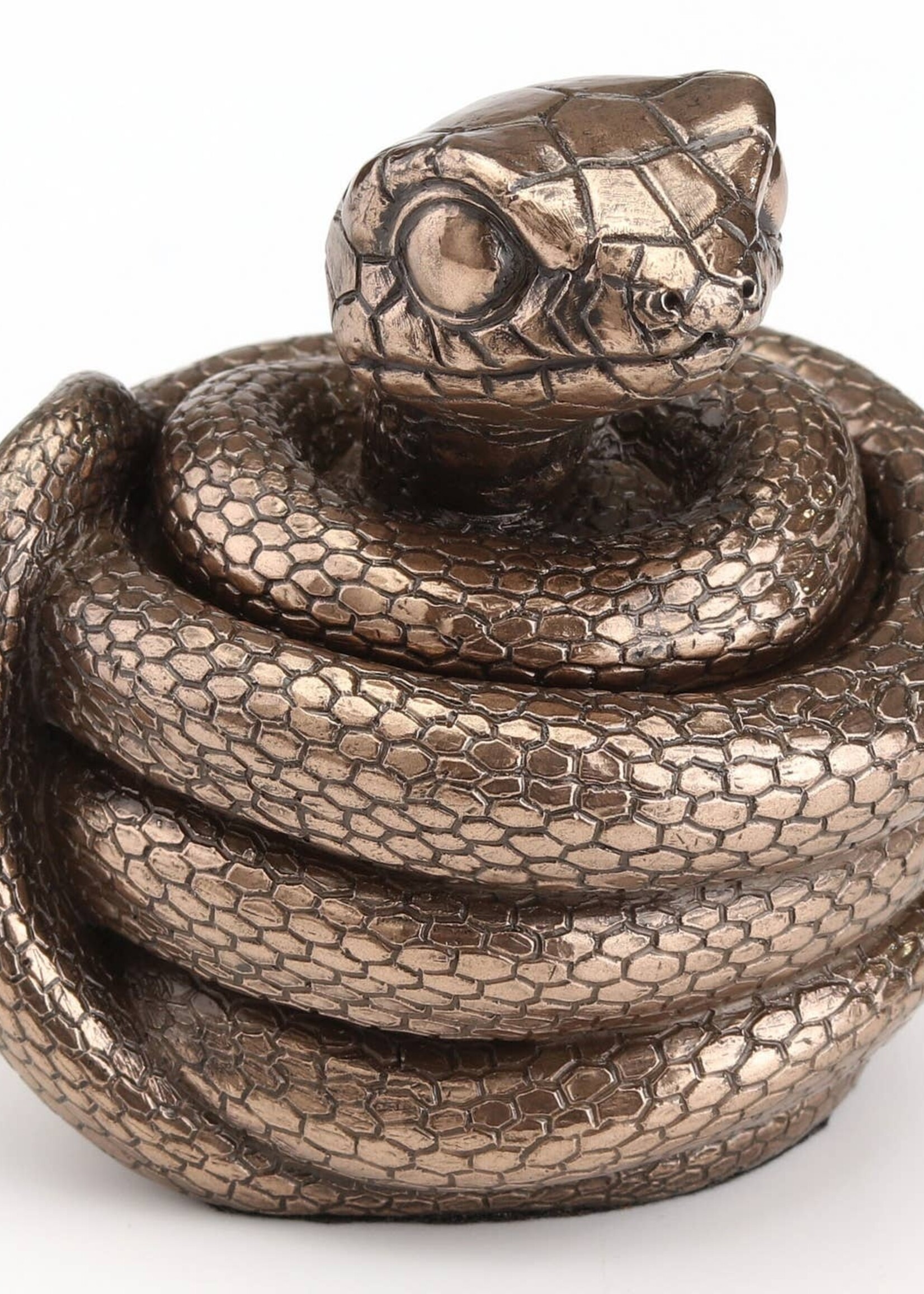 Coiling Snake Secret Stash