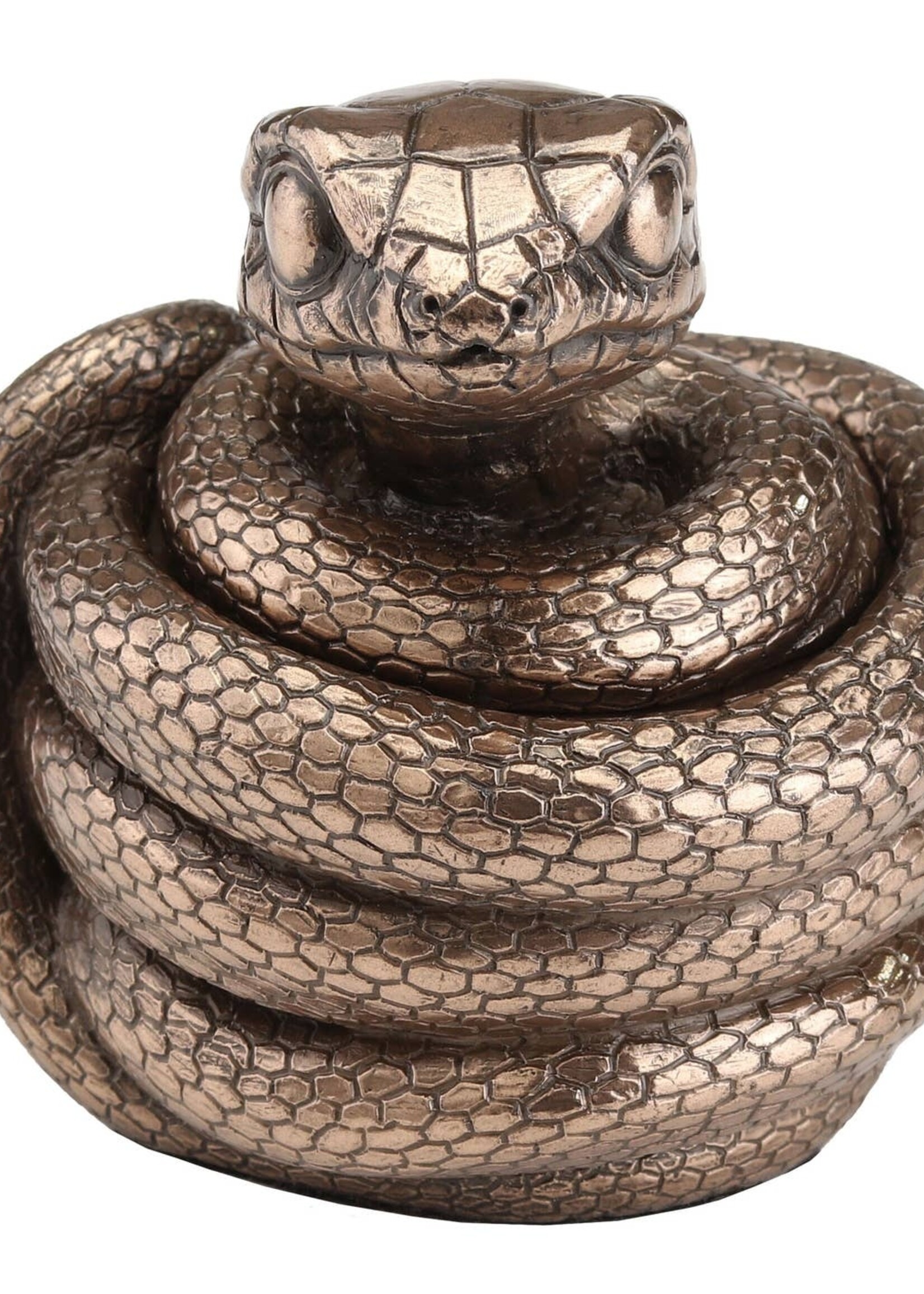 Coiling Snake Secret Stash