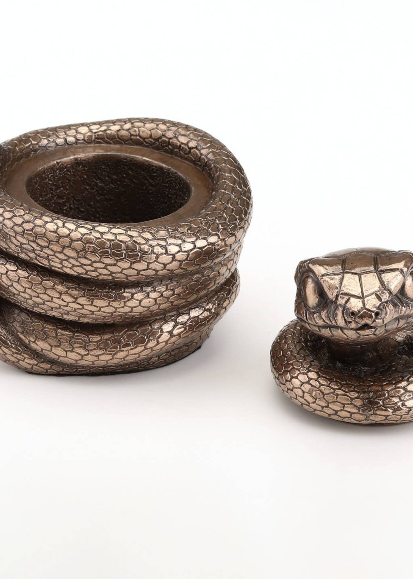 Coiling Snake Secret Stash
