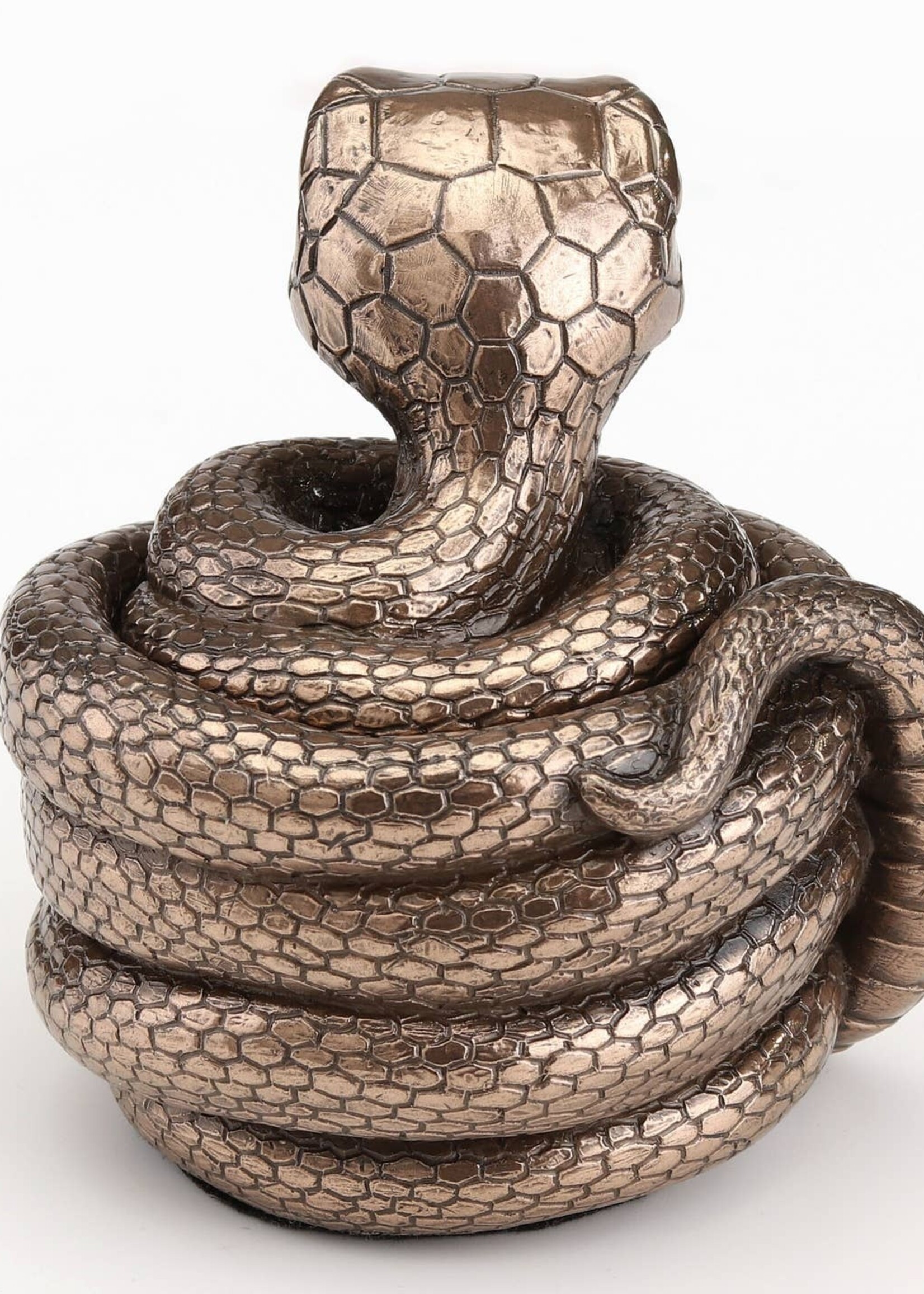Coiling Snake Secret Stash