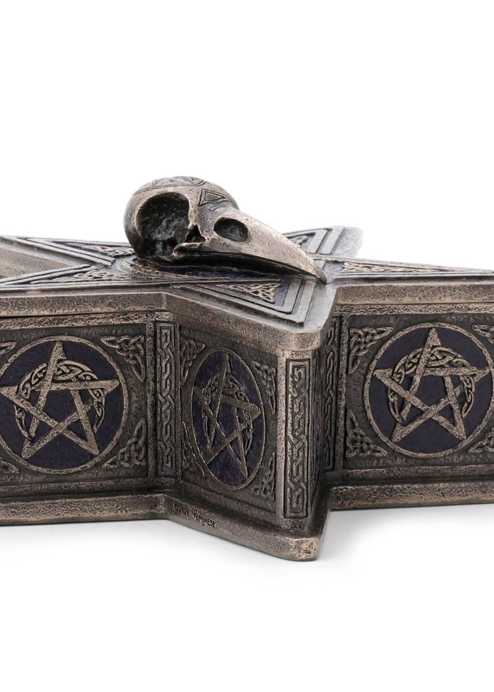 Crow Skeleton Pentacle Trinket Stash