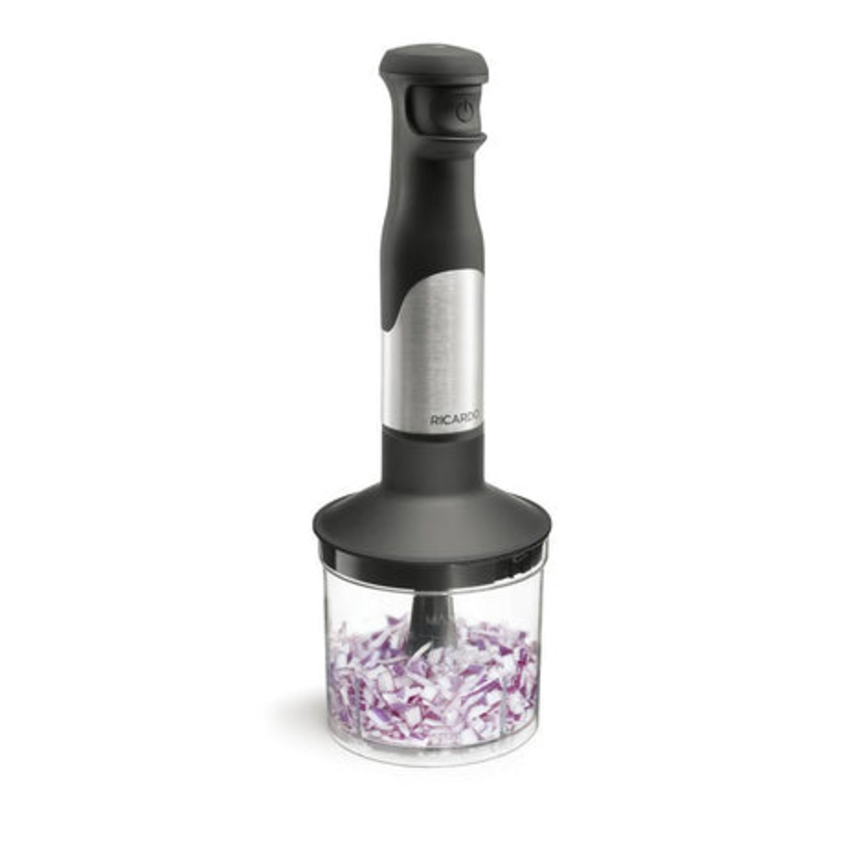 RICARDO Hand Blender 300w