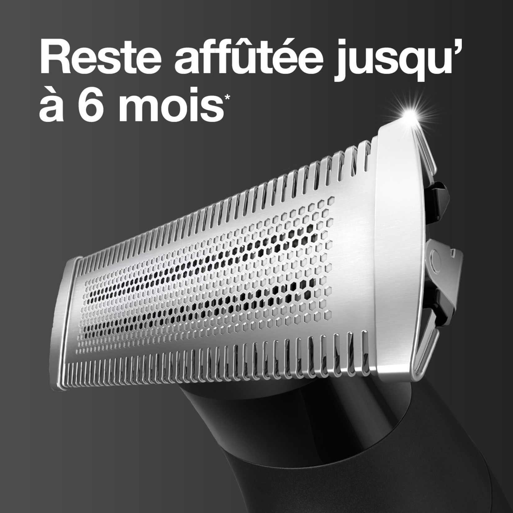 BRAUN XT