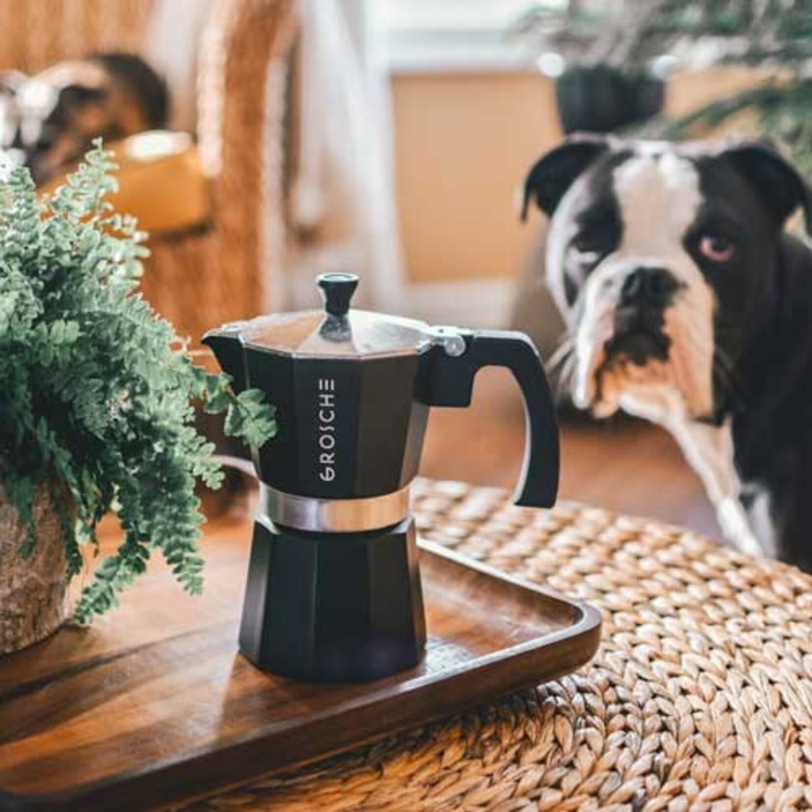 GROSCHE MILANO Stovetop Espresso Maker, Moka Pot - 6 Cup