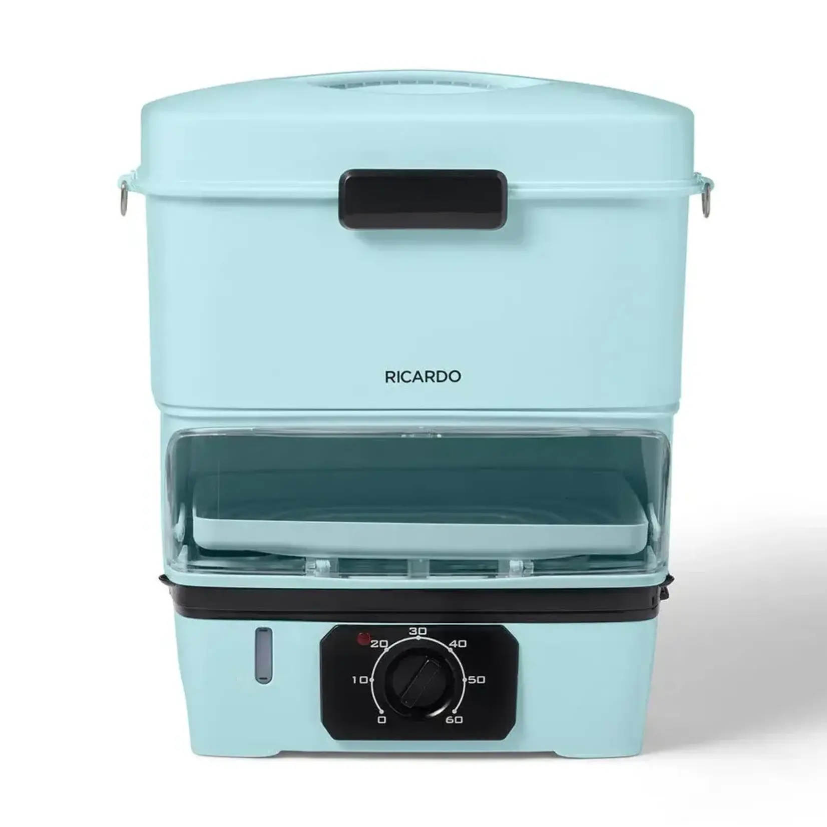 RICARDO Electric Steamer