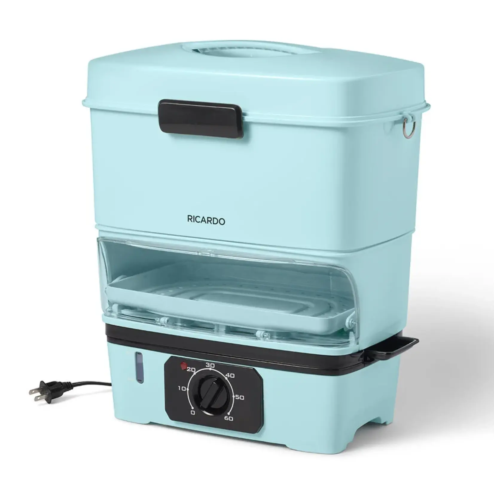RICARDO Electric Steamer