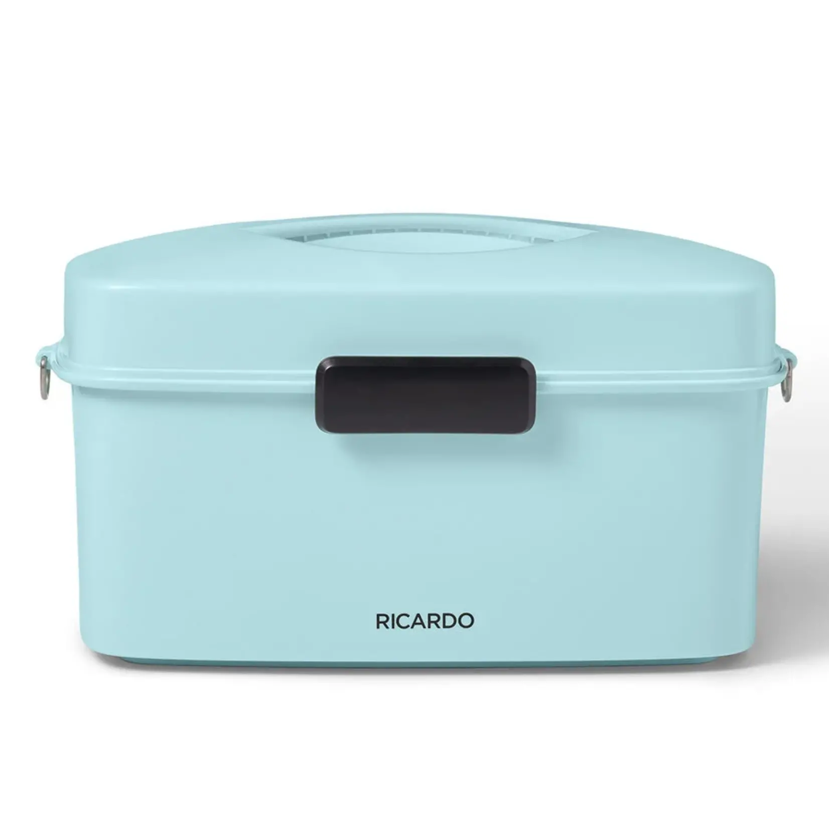RICARDO Electric Steamer