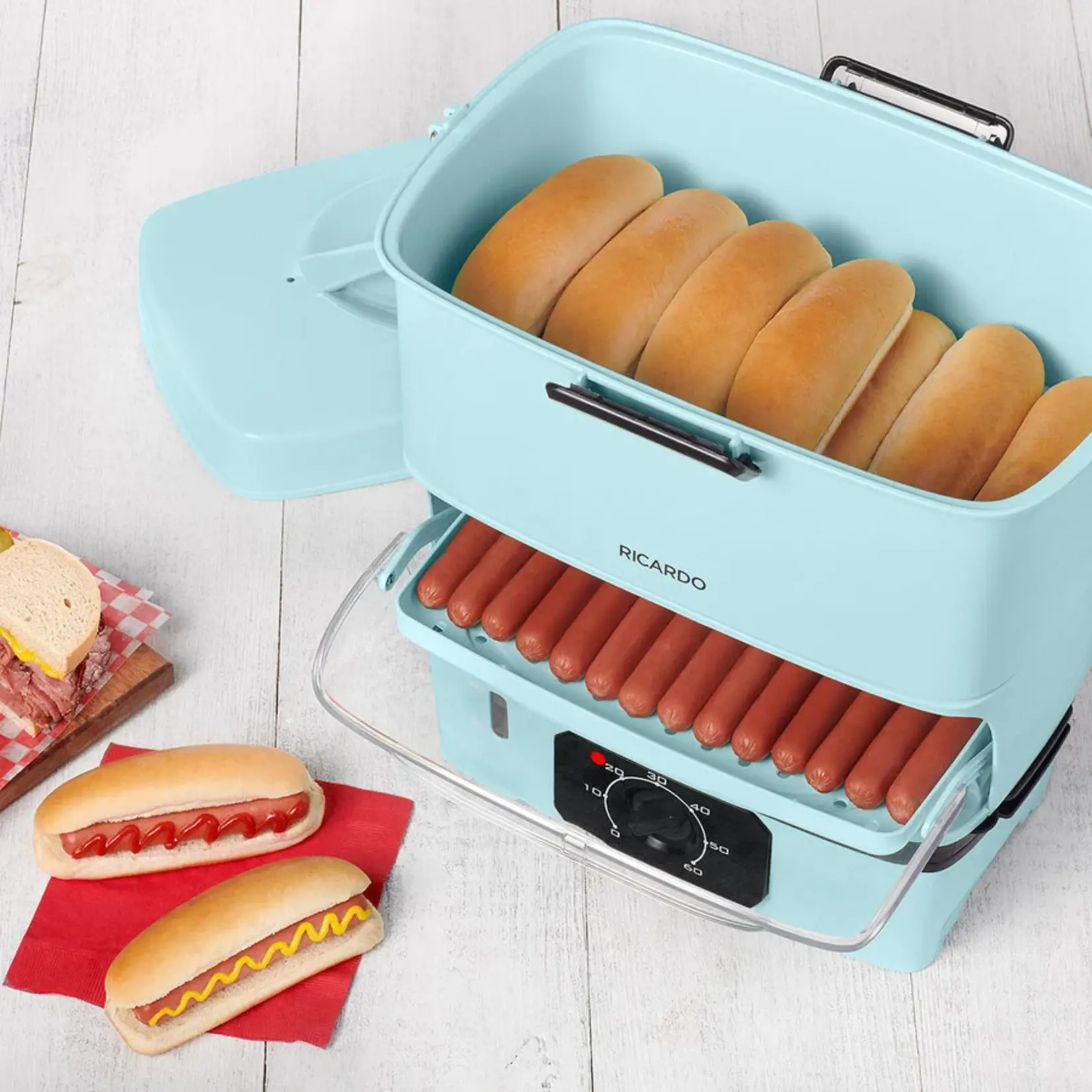 RICARDO Electric Steamer