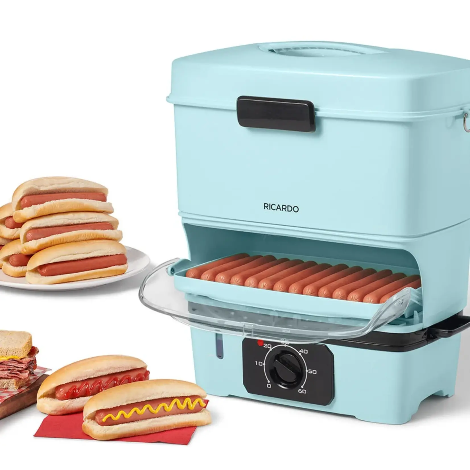 RICARDO Electric Steamer