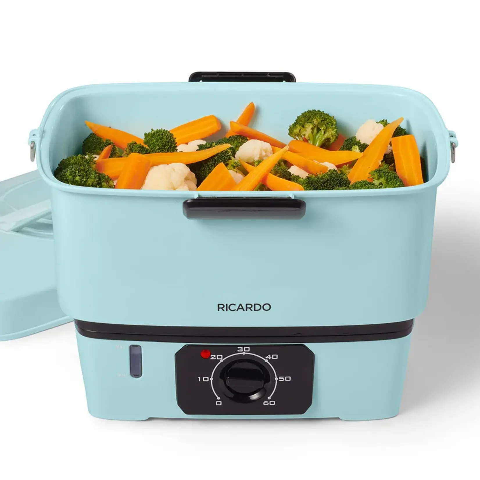 RICARDO Electric Steamer