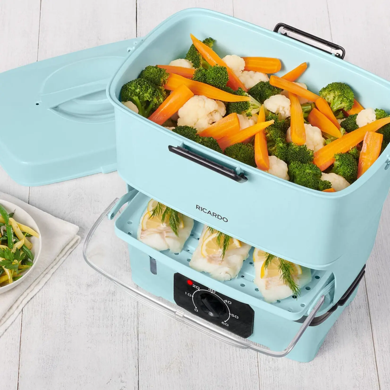 RICARDO Electric Steamer
