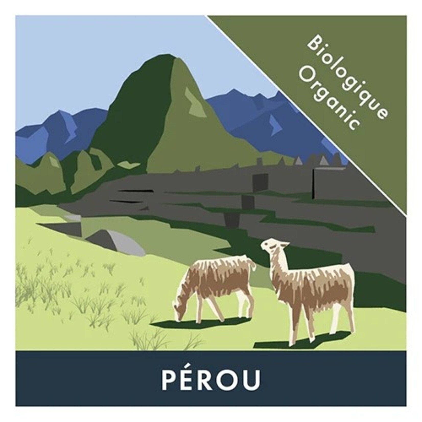 BRÛLERIE VIRGIN HILL Café PÉROU NOIR bio, 1kg