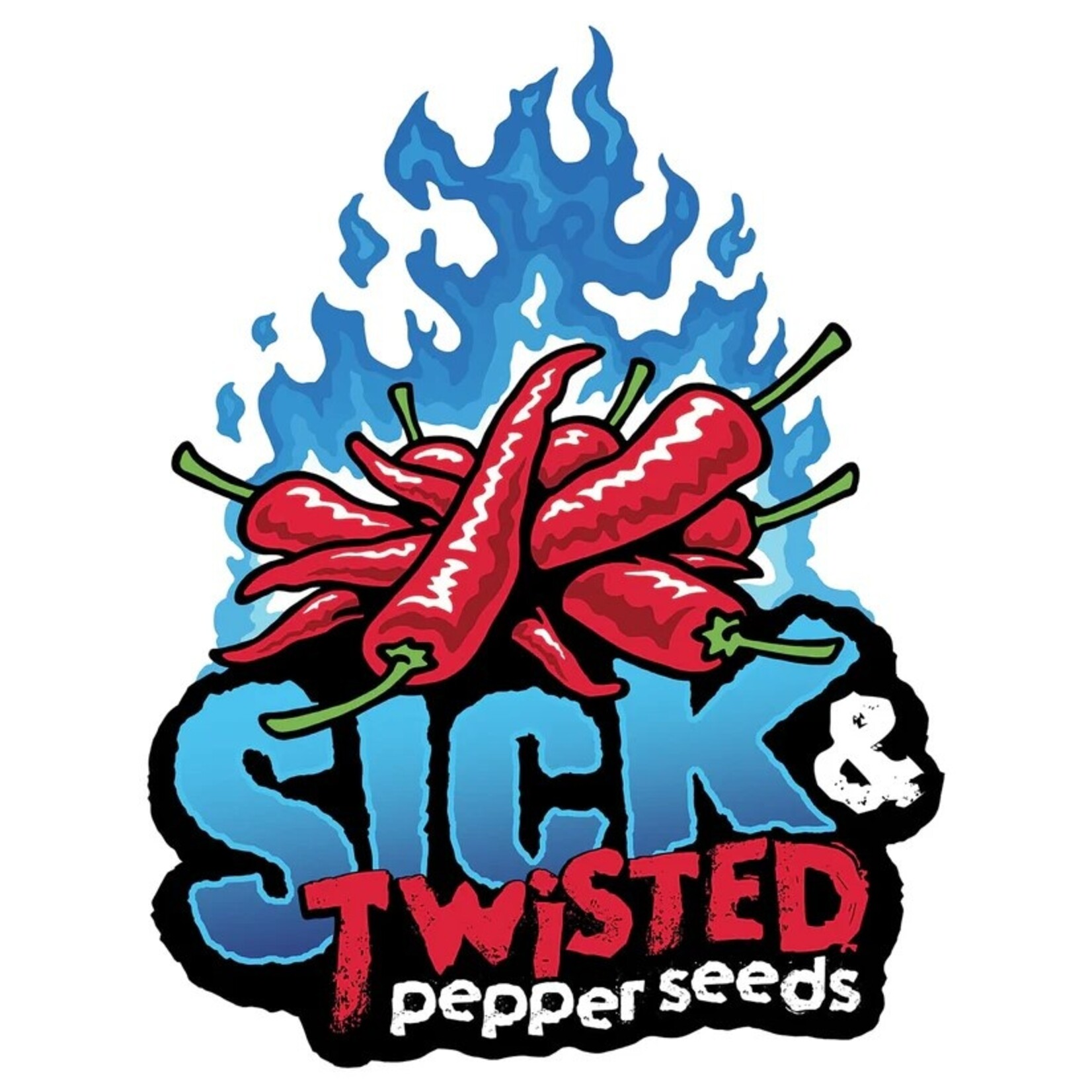 SAINT-PIMENT Salière double