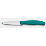 VICTORINOX Green Swiss Classic Paring Knife, 3 in